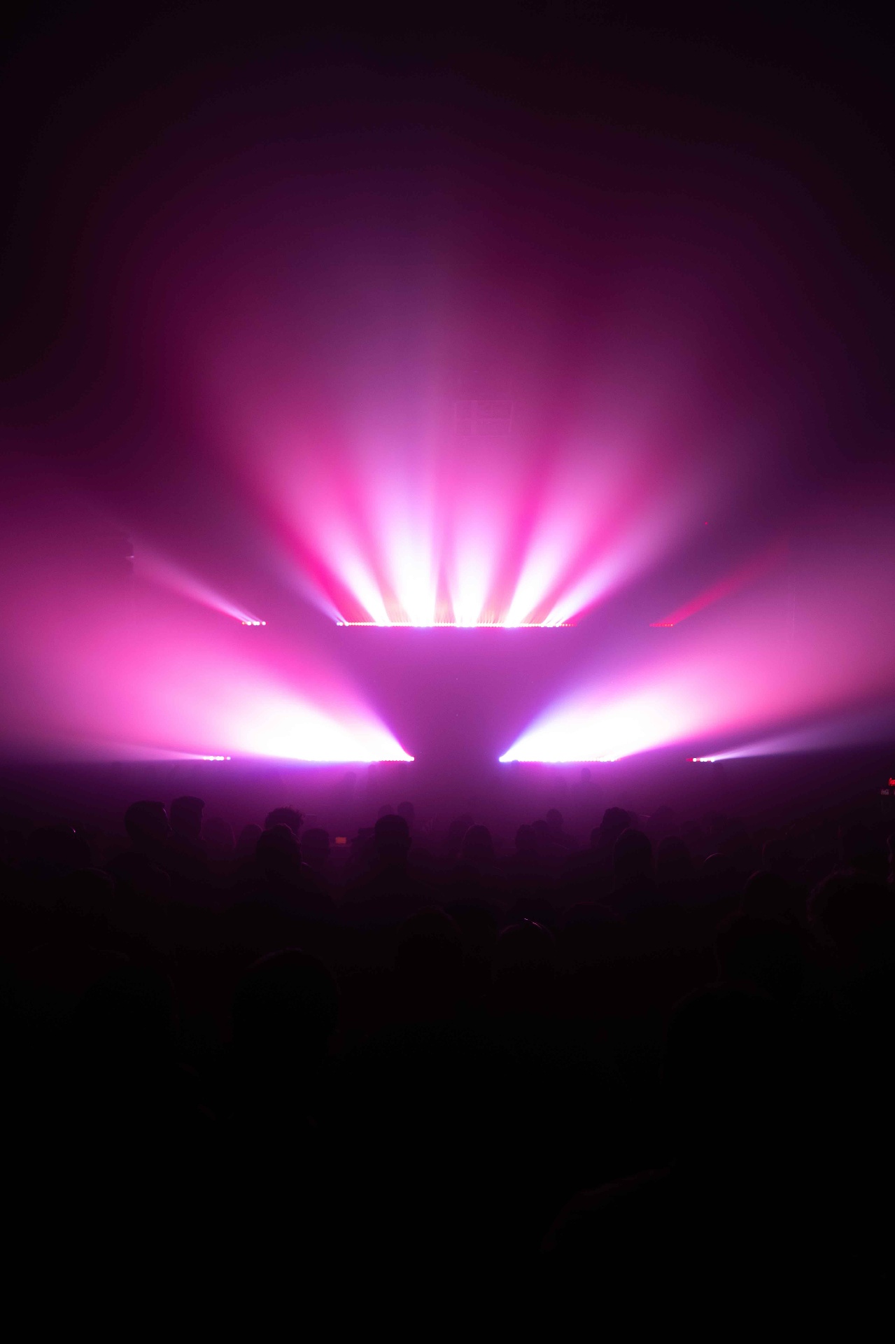 Pink lights